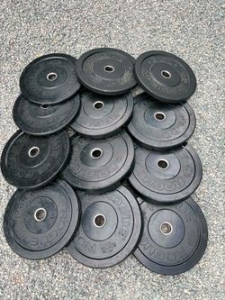 Rogue Bumper Weights