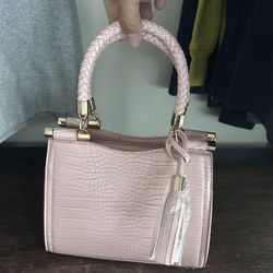 Small Pink  Purse 