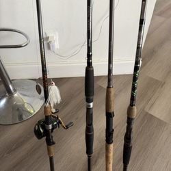 Fishing Rods 