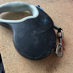 Dog Leash 