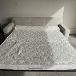 Queen Sofa Pull Out Bed Couch