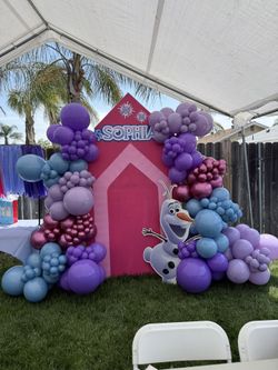 Balloon Backdrops