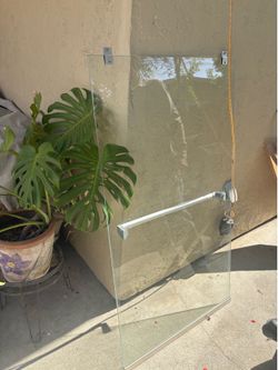 Shower door