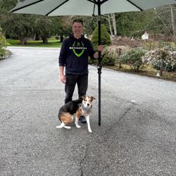 Patio Table Umbrella 