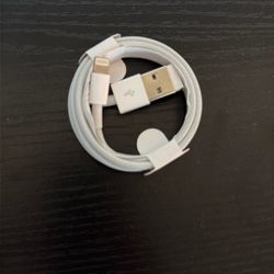 iPhone Charger