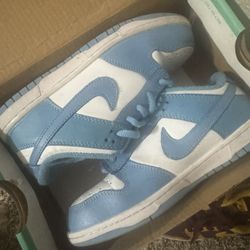 Kids Nike Dunks 