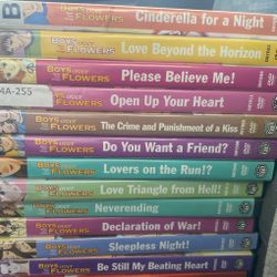 Mint Condition "Boys Over Flowers" DVD Collection**