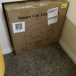 Smart Little Cat Box