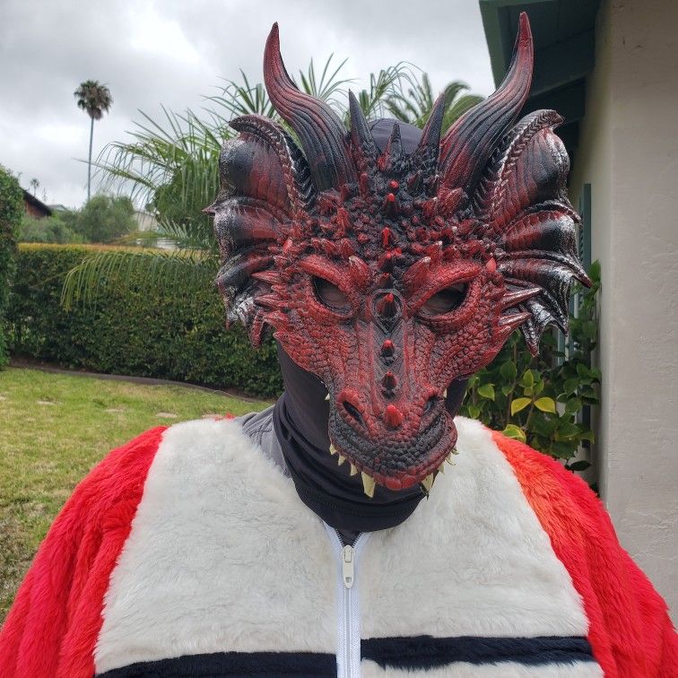 Dragon Mascot Costume