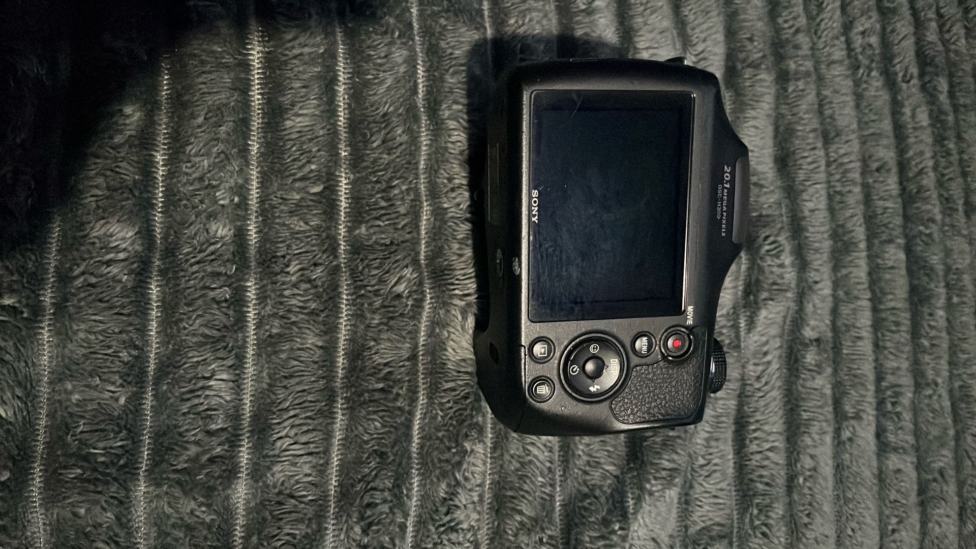 Sony DSC-H300 Camera