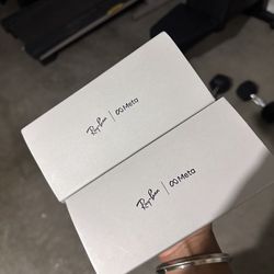 Rayban Ai Meta Glasses