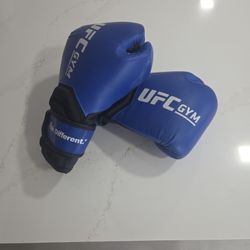 Punching Gloves 14 Oz