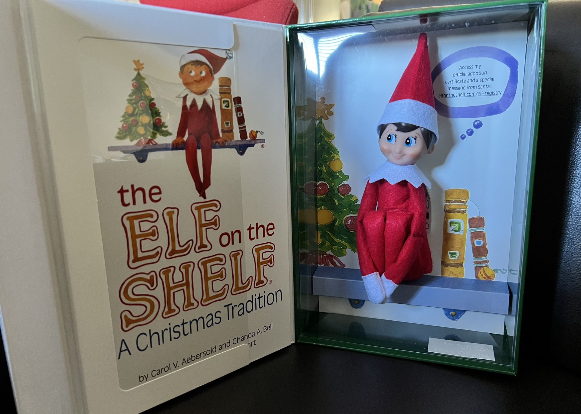 Boy Elf On The Shelf