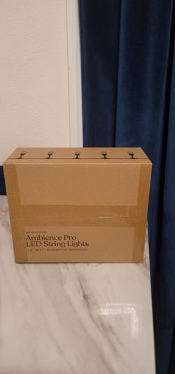 Brightech Ambience Pro LED String Lights 48ft