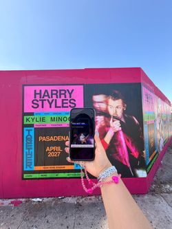 Harry Styles Concert 2027