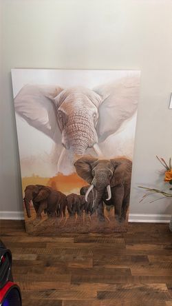 Beautiful Elephant Portrait