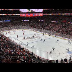 Florida Panthers Vs