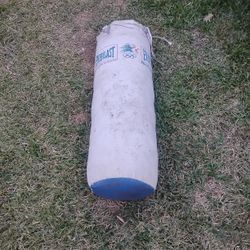 Punching Bag