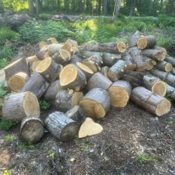 Cedar Wood For Sale