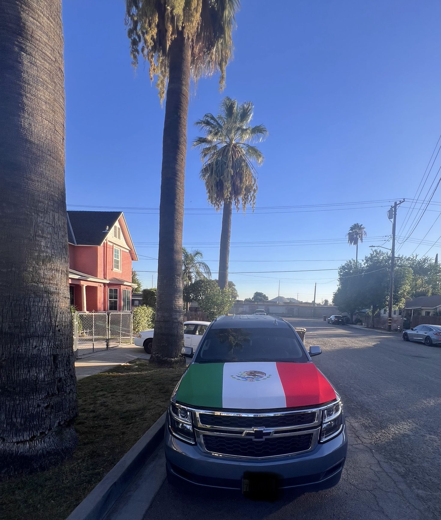 Mexico Hood Cover ( Last One)
