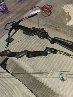 Cross bow and bow arrow