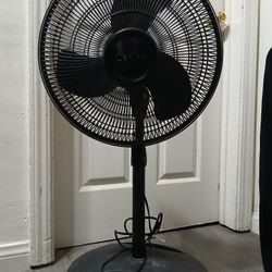 Standing Fan