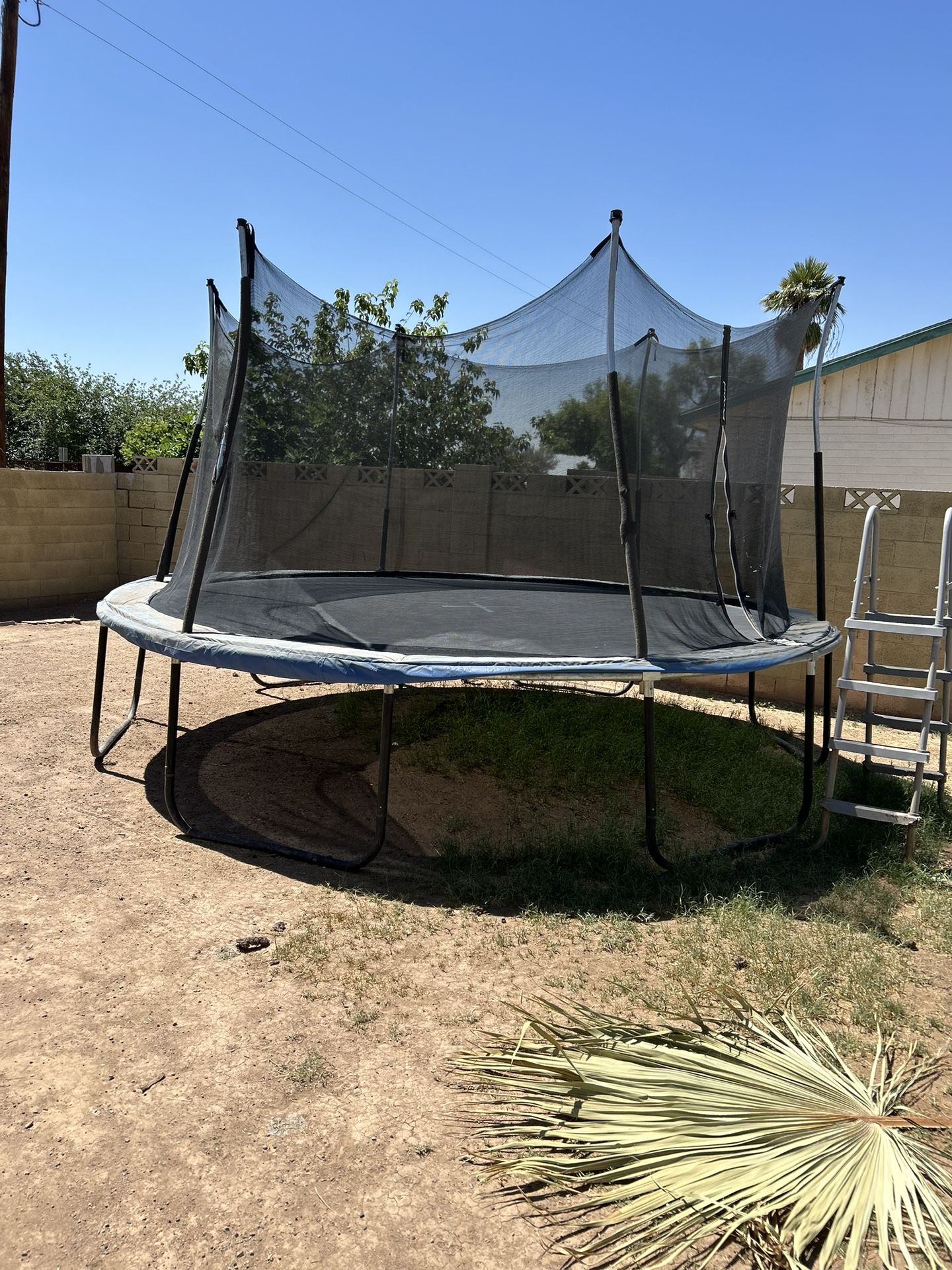 Trampoline