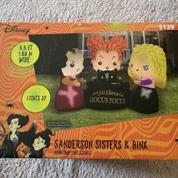 Disney Hocus Pocus Blowup
