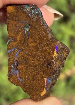 Pretty 47ct Australian Boulder Opal Rough Loose Specimen PP