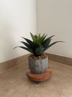 Decorative Plant + Textured Planter + Wood Stand