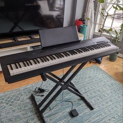 Casio Px160 88 Key Weighed Keyboard+ Stand + More