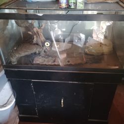 Reptile tank