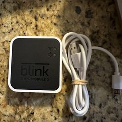 Blink Sync Module 2