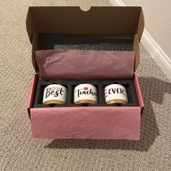 Best Teacher Ever Succulent Planters