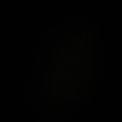 Does anyone have anything with a motor to give to me for free