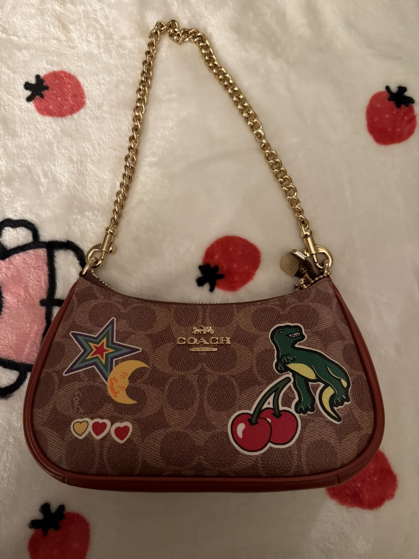Coach Terry Bag