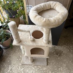 Cat House