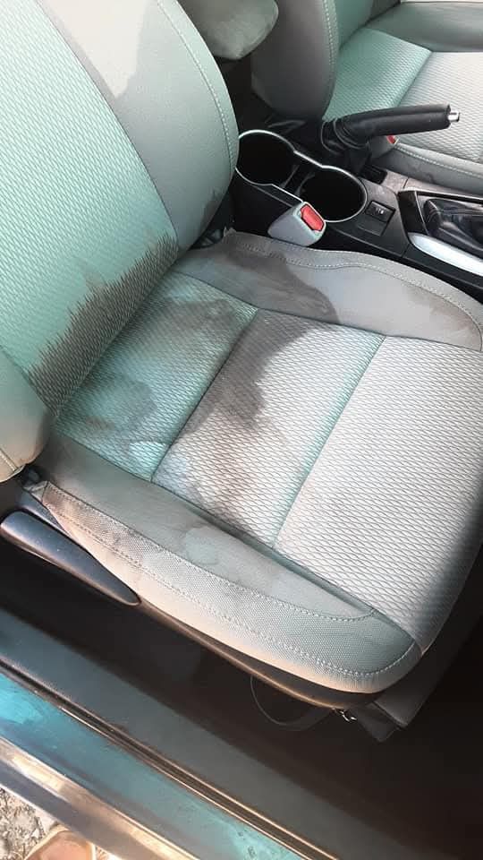 Interior Shampoo Steam Clean