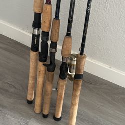 Casting And Spinning Fishing Rods