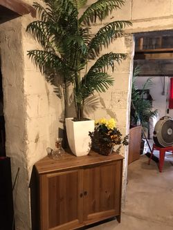 A tree plant, corner stand and little plant