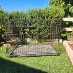 Pop Up Kennel for LARGE dogs