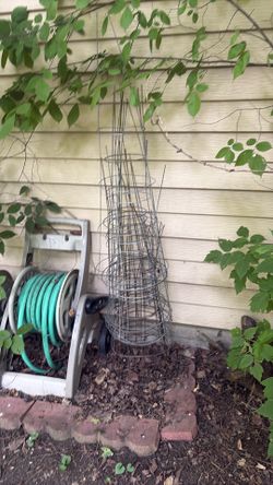 For plants need gone asap