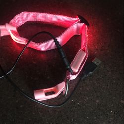 led dog collar