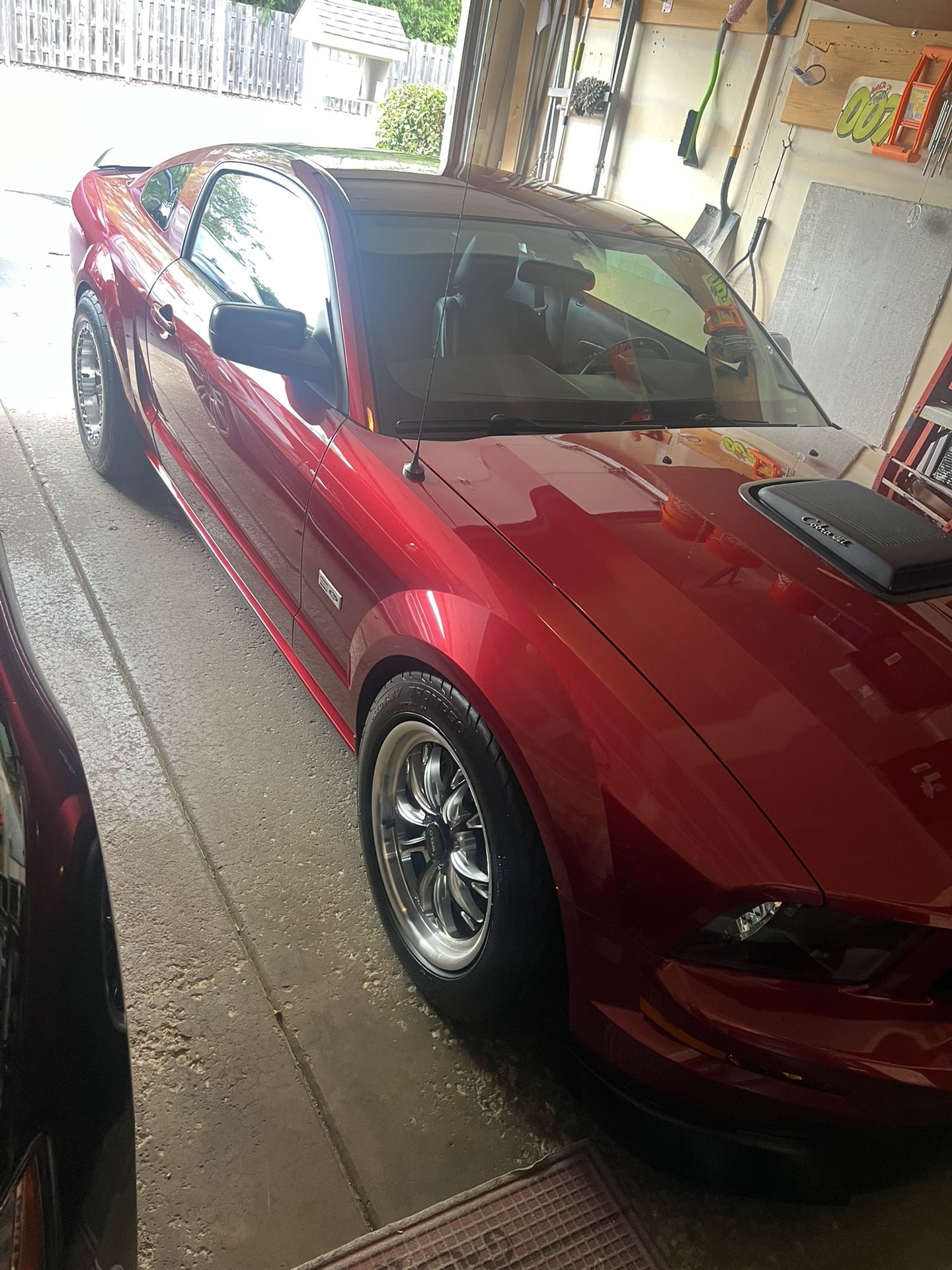 2005 Ford GT