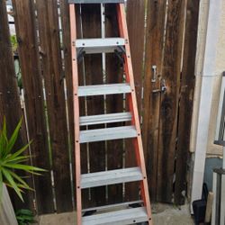 6 Feet Fiber Glass Ladder 