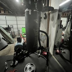 Boxing Dual Stand
