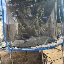 Trampoline 
