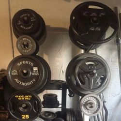 SELLING STEEL  &  RUBBER OLYMPIC  &  STANDARD PLATES  /  STEEL  &  RUBBER DUMBBELLS   /  BARBELL BAR  /  BENCHES  /  FREE WEIGHTS
