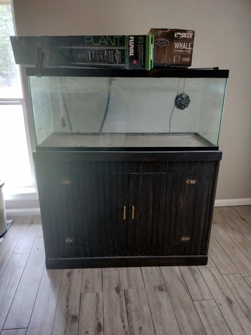 Fish Tank and Filter 