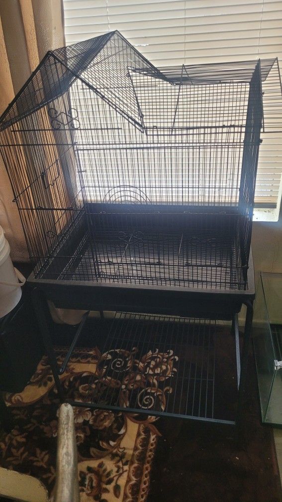 Bird Cage